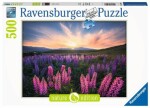 Ravensburger Vlčí boby