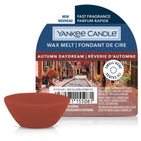Yankee Candle Vosk do aromalampy Yankee Candle 22 g - Autumn Daydream, hnědá barva, plast, vosk