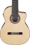 Ibanez GA3008CE NT