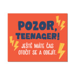 Cedulka na dveře - Teenager - Albi
