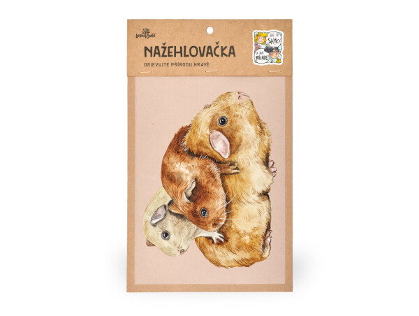 Nažehlovačka M 069 - Morče