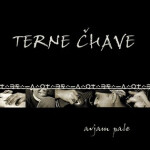 Avjam Pale CD Terne Čhave