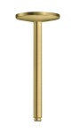 AXOR - One Sprchové rameno stropní, 30 cm, kartáčovaná mosaz 48495950