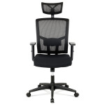 Kancelářská židle, houpací mechanismus, černá síťovina, KA-B1013 BK
