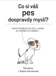 Co si váš pes doopravdy myslí