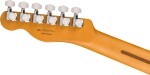 Fender Player Plus Telecaster PF FRD