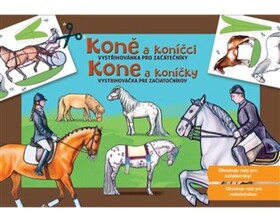 Koně koníčci pro začátečníky