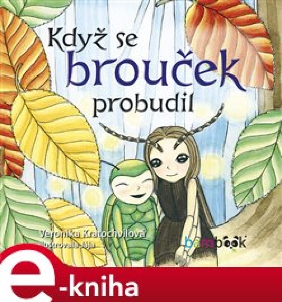 Když se brouček probudil - Veronika Kratochvílová e-kniha