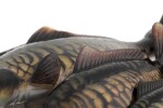 Fox Rage Gumová nástraha Ultra-Realistic Mirror Carp Replicant - 10cm 26g,Fox Rage Gumová nástraha Ultra-Realistic Mirror Carp Replicant - 10cm 26g