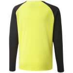 Brankářská mikina Puma teamPacer GK LS Jersey Jr 704939 42