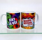 Ptakoviny.cz Hrnek díky za vše nejlepší učitelka