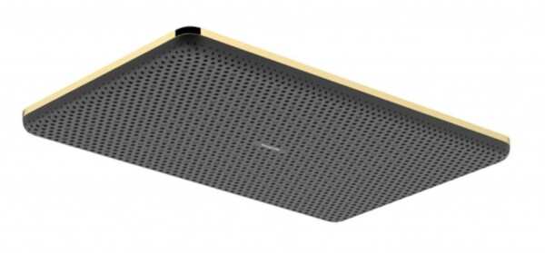 HANSGROHE - Raindance Alive Q Hlavová sprcha, 21x34 cm, EcoSmart, leštěný vzhled zlata 24531990