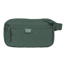 Ledvinka BAAGL Go - Green