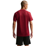 Nike Dri-Fit Park VIII pánské tričko bordó HV8173 677 pánské XL