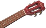 Lanikai QM-RDCEC