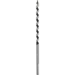 Bosch Accessories 2608585694 hadovitý vrták 6 mm Celková délka 160 mm šestihran 1 ks