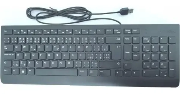 Lenovo Essential Wired Keyboard černá / Klávesnice / drátová / USB-A / CZ/SK (4Y41C68691)