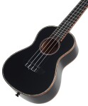 Ortega RUOX-CC