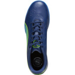 Kopačky Puma King Match TT M 107260 02 40