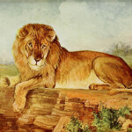 O moudrém králi - Dagmar Langová - audiokniha