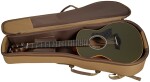 Taylor GS Mini-e LTD Olive