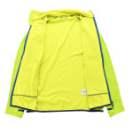 Pánská rychleschnoucí mikina ALPINE PRO ONNEC lime green