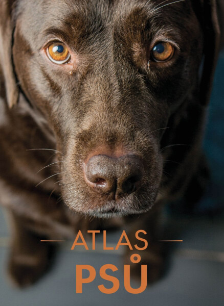 Atlas psů - Izabela Przeczek