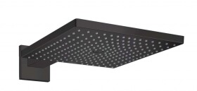 HANSGROHE - Raindance E Hlavová sprcha, 30x30 cm, EcoSmart, matná černá 26239670