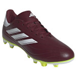 Kopačky adidas Copa Pure.2 Club FxG M IG1098 41 1/3