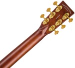 Tanglewood TE3 BL
