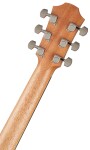Furch Blue D-SW CNR Active