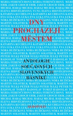 Dny procházejí městem Peter Šulej,