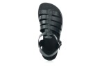 Koel Athena Black AD