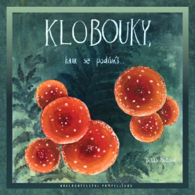 Klobouky, kam se podíváš - Ditta Kůtová