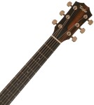 Taylor 214ce Plus Special Ziricote