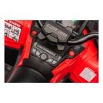 Mamido Dětská elektrická čtyřkolka Can-Am Outlander ATV 4x200W červená