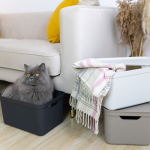 ROTHO JIVE DECO úložný box 16L - bílý