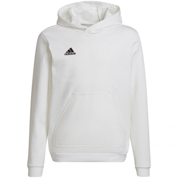 Adidas Entrada 22 Hoody Jr HG6303