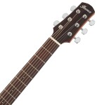 Ibanez AAD100E Natural
