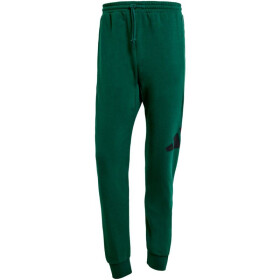 Kalhoty adidas Essentials Big Logo French Terry M JE8971 s