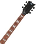 ESP LTD VIPER-256 DBS