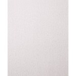 PFERD TOOLS BP ECO AC 230X280 A 220 45015247 brusný papír Zrnitost 220 (d x š) 280 mm x 230 mm 50 ks