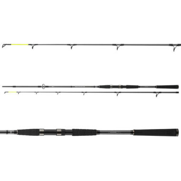 Daiwa Prut Seahunter X 2,6m 60-180g (11533-260)