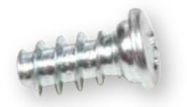 Strong eurošroub - půlkulatá hlava