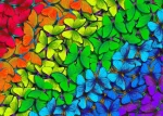 ENJOY Puzzle Duhoví motýlci