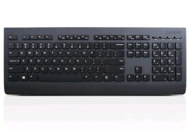Lenovo Professional Wireless CZ černá / bezdrátová sada klávesnice a myši / CZ verze (4X30H56803)
