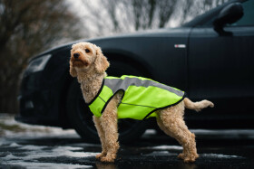 Tocho reflexní vesta pro psa Barva: Žlutá, Délka zad (cm): 24, Obvod hrudníku: 30 - 34 cm
