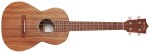 Martin T1K Uke