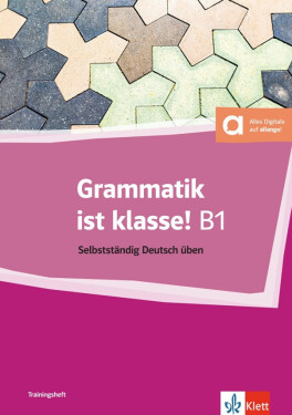 Grammatik ist klasse B1 - Buch - Sarah Fleer
