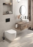 DEANTE - Arnika nero WC kartáč, nástěnný ADA_N711